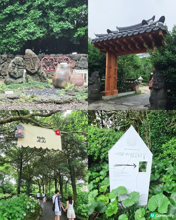 山茶花之丘🩷💙💜繡球花海打卡📸