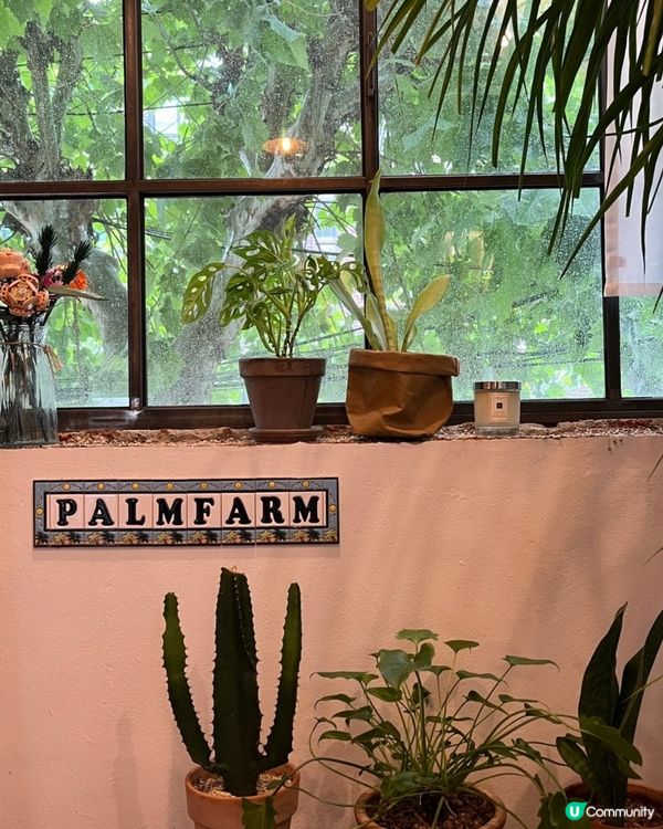 🇰🇷韓國首爾早午餐推薦｜🌴彷彿去咗峇里島嘅療癒系Cafe