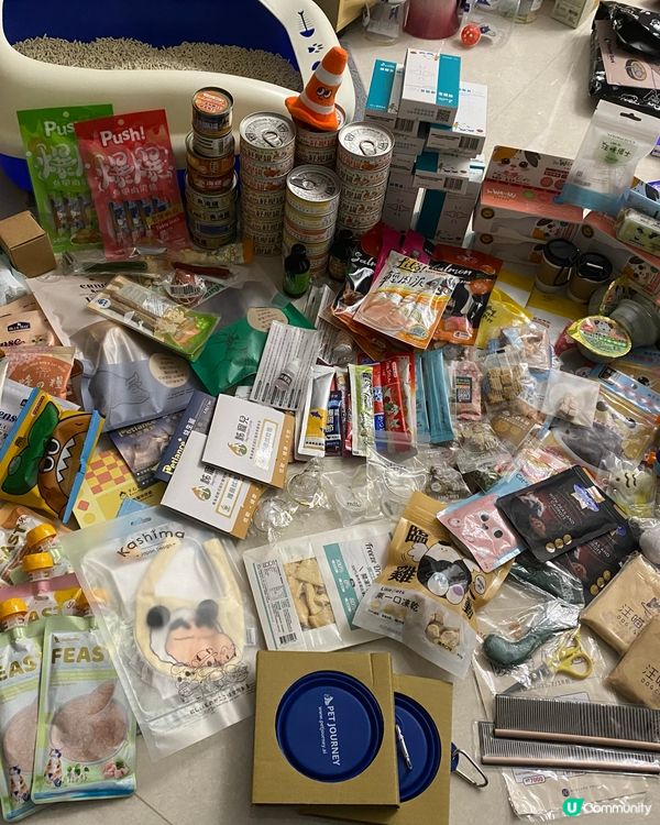 第一次去台灣寵物展！🤩 買到癲！