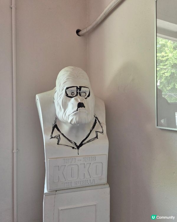 🇰🇷韓國首爾人氣自家製手作Pizza＋生啤🍻