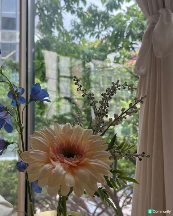 🇰🇷首爾必打卡系芒果芭菲咖啡廳🥭🍨