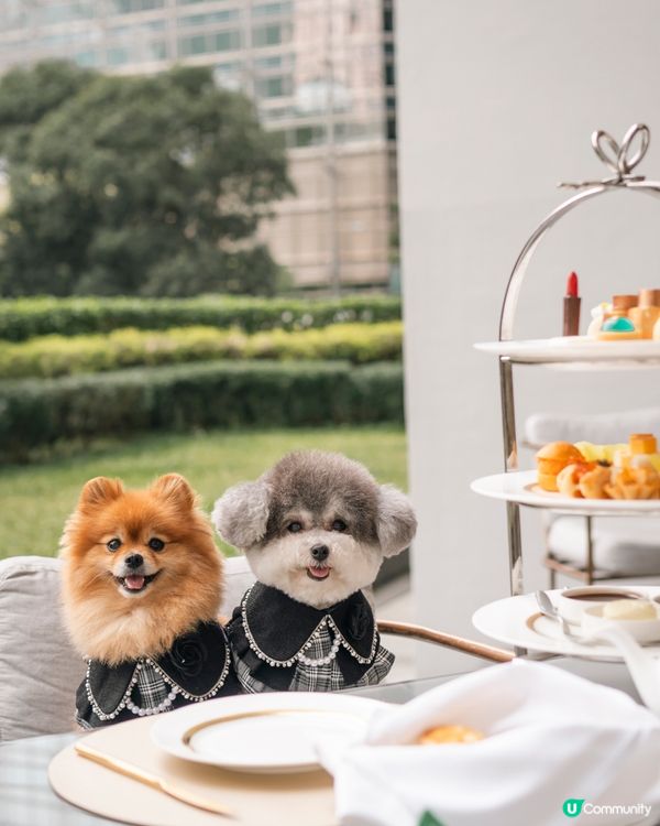 港女酒店下午茶初體驗！💄🍰 花園靚景超正！買一送一！