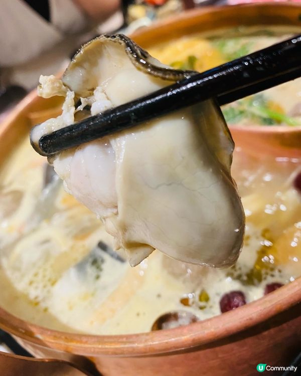 旺角➡️➡️➡️牛大人台灣火鍋吃到飽