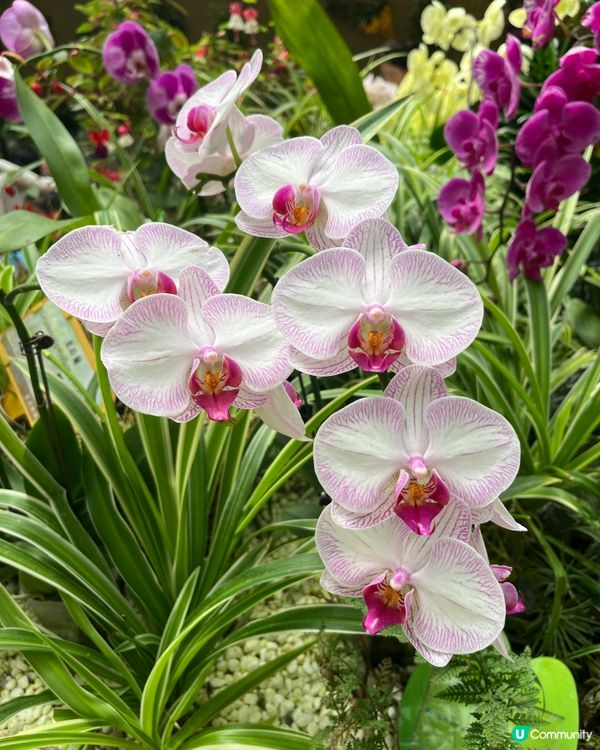 想去戶外又可以享受靜態嘅活動?