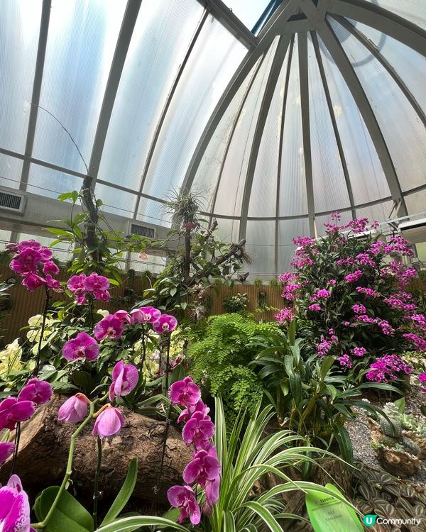 想去戶外又可以享受靜態嘅活動?