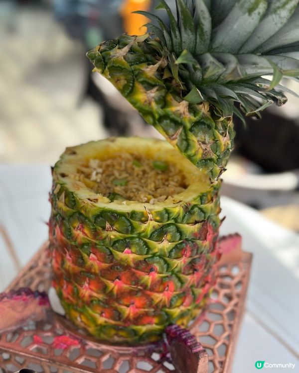 帶狗狗chill住食｜白石角寵物友善之選