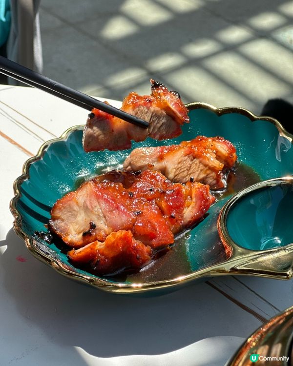 帶狗狗chill住食｜白石角寵物友善之選