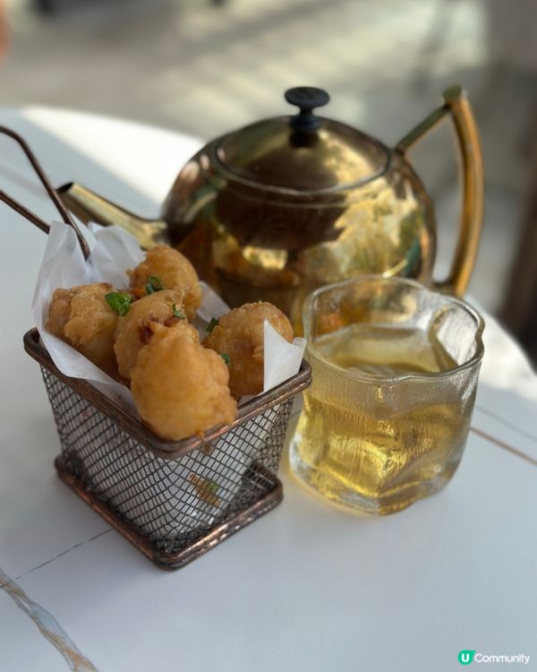 帶狗狗chill住食｜白石角寵物友善之選