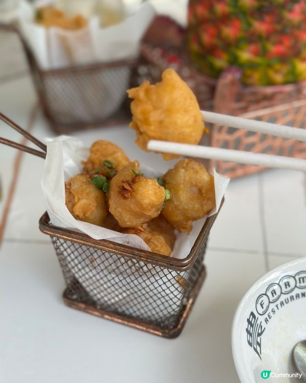 帶狗狗chill住食｜白石角寵物友善之選