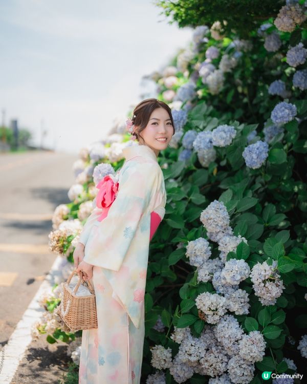 着和服遊京都👘！繡球花海超靚！📸✨