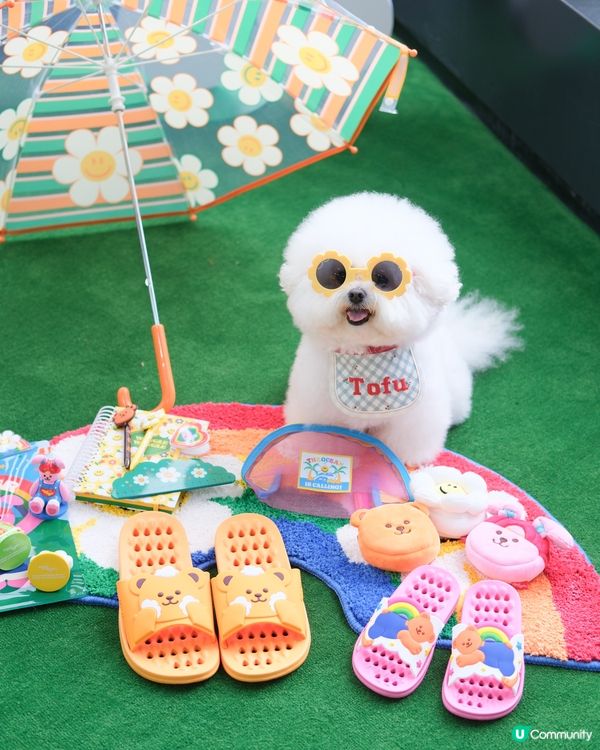 1.  期間限定店嚟香港！📸 打卡位+限量品！🤩