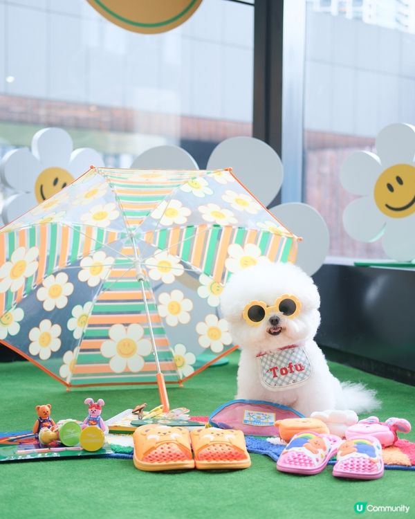 1.  期間限定店嚟香港！📸 打卡位+限量品！🤩