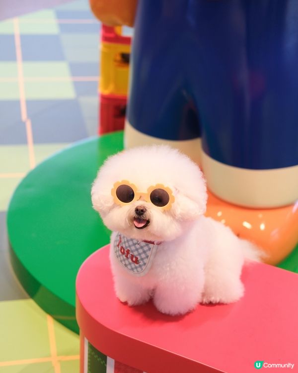 1.  期間限定店嚟香港！📸 打卡位+限量品！🤩