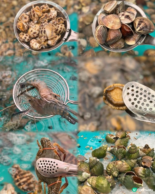 即撈即煮🌊任食活海鮮和牛火鍋放題🔥