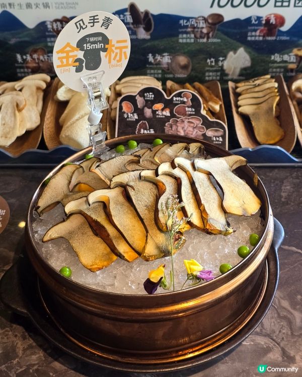 🍄‍🟫養生火鍋芸山季 天然手工石鍋