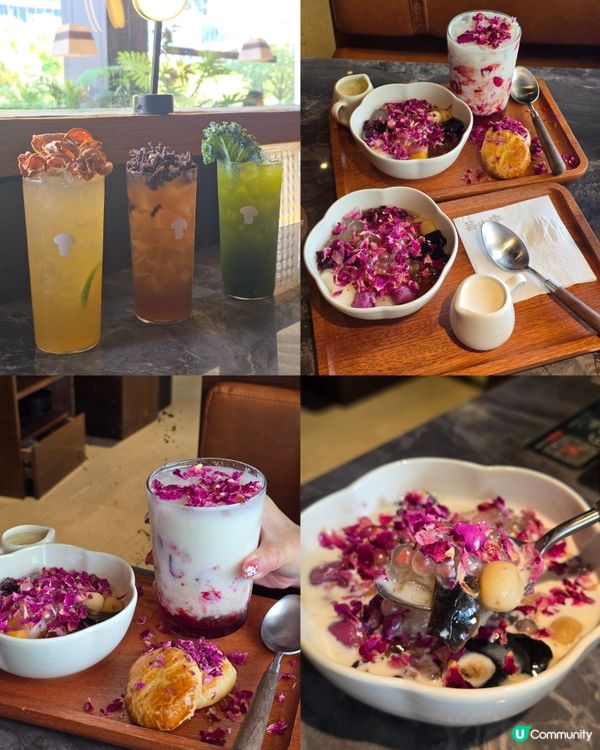 🍄‍🟫養生火鍋芸山季 天然手工石鍋