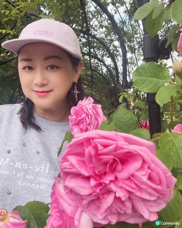 🌸我愛花花🌸之彭布羅克小屋賞花之旅🌸！倫敦郊野隱藏瑰寶