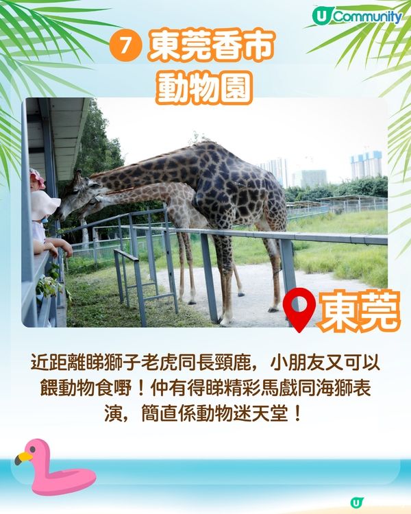 【送酒店套票！】深圳/珠海/東莞親子好去處🎡