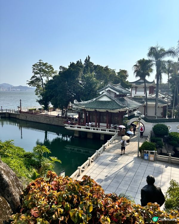 廈門鼓浪嶼攻略！😎 廈門必去！