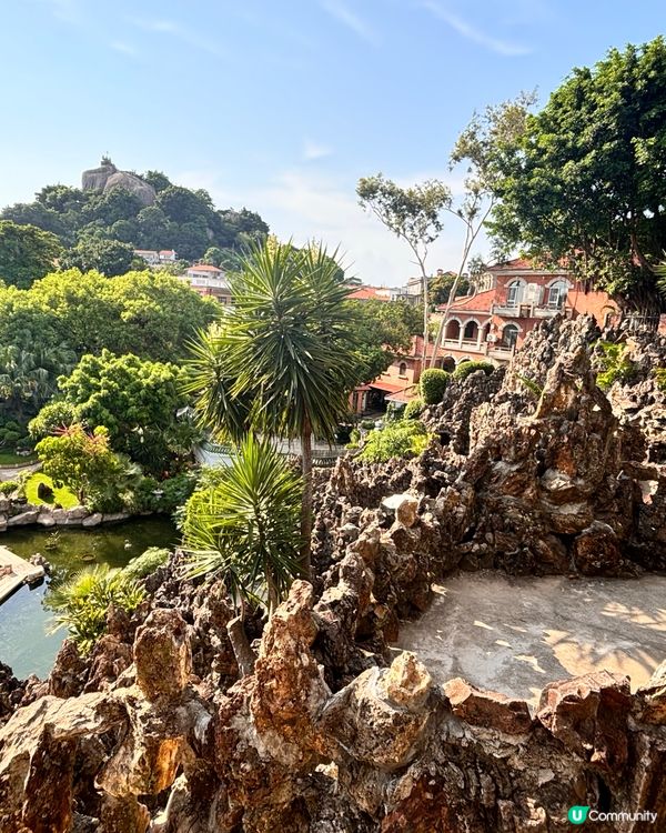 廈門鼓浪嶼攻略！😎 廈門必去！