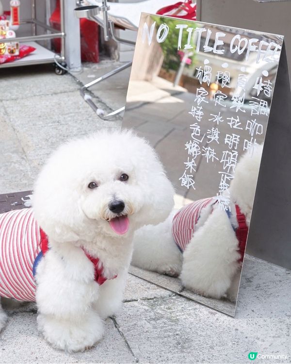 電影重慶森林經典重現 上環睇金魚？原來係...