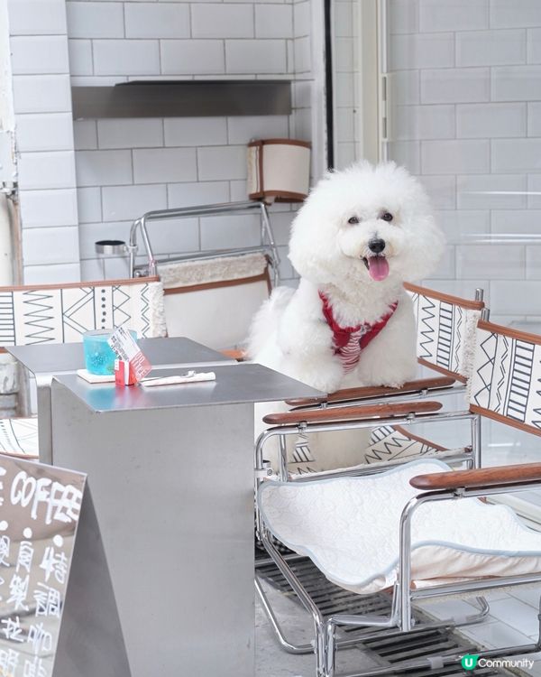 電影重慶森林經典重現 上環睇金魚？原來係...