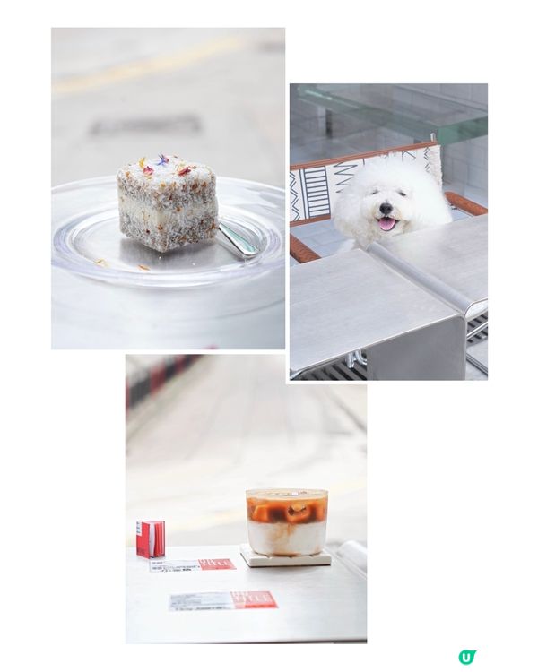 電影重慶森林經典重現 上環睇金魚？原來係...