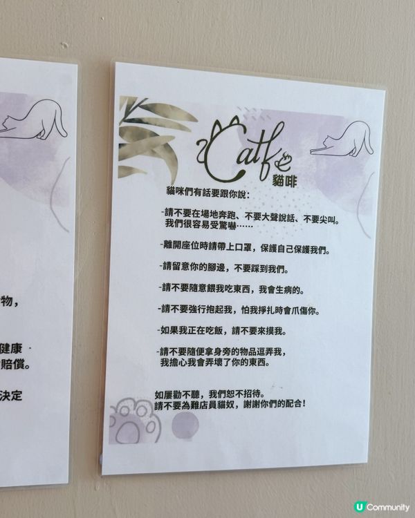 貓貓包圍の下午茶😻親子放電好去處！