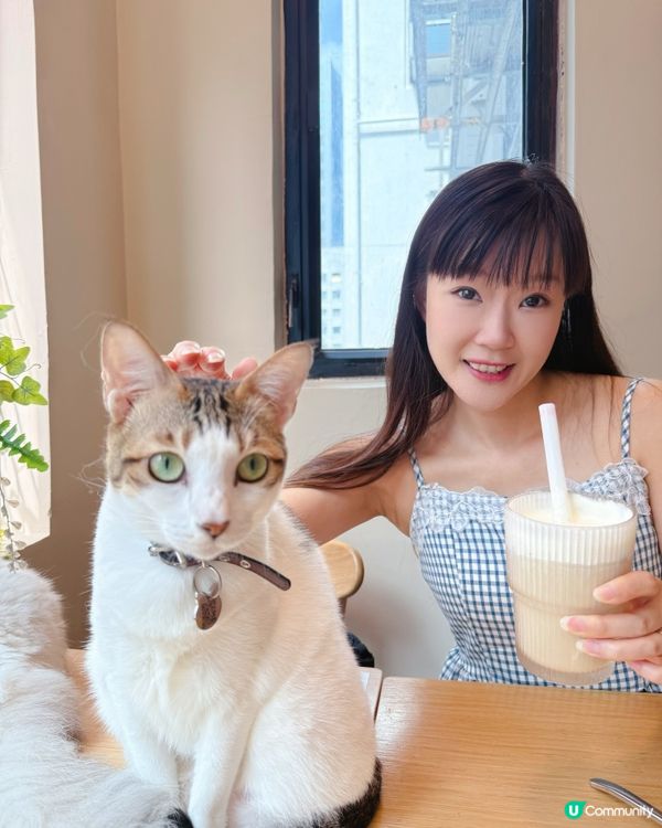 貓貓包圍の下午茶😻親子放電好去處！