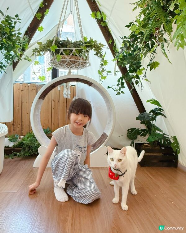 貓貓包圍の下午茶😻親子放電好去處！