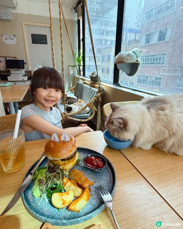 貓貓包圍の下午茶😻親子放電好去處！