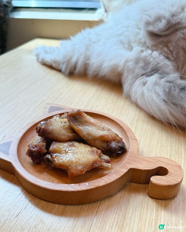 貓貓包圍の下午茶😻親子放電好去處！