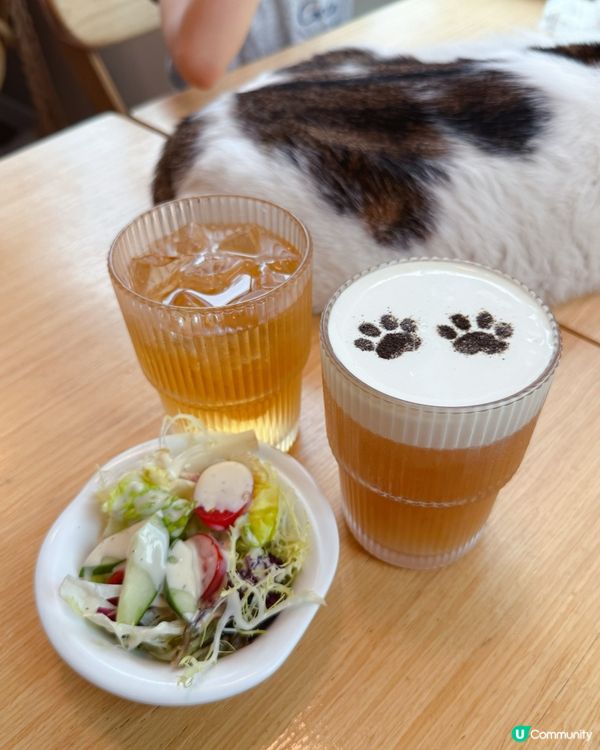 貓貓包圍の下午茶😻親子放電好去處！