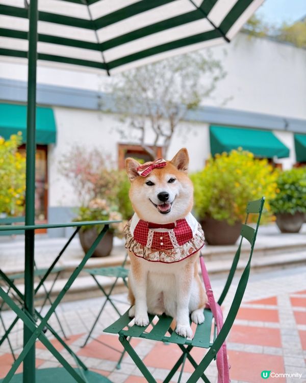 / 帶毛孩遊優雅影灣園 \