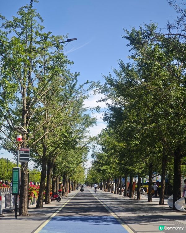 【三顧上海終見「東方之冠」】上海世博