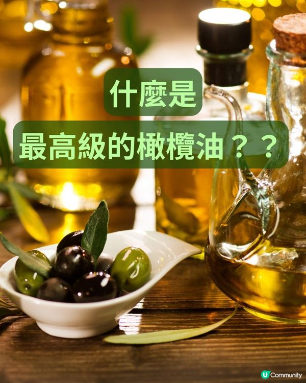 什麼是最高級的橄欖油？？？