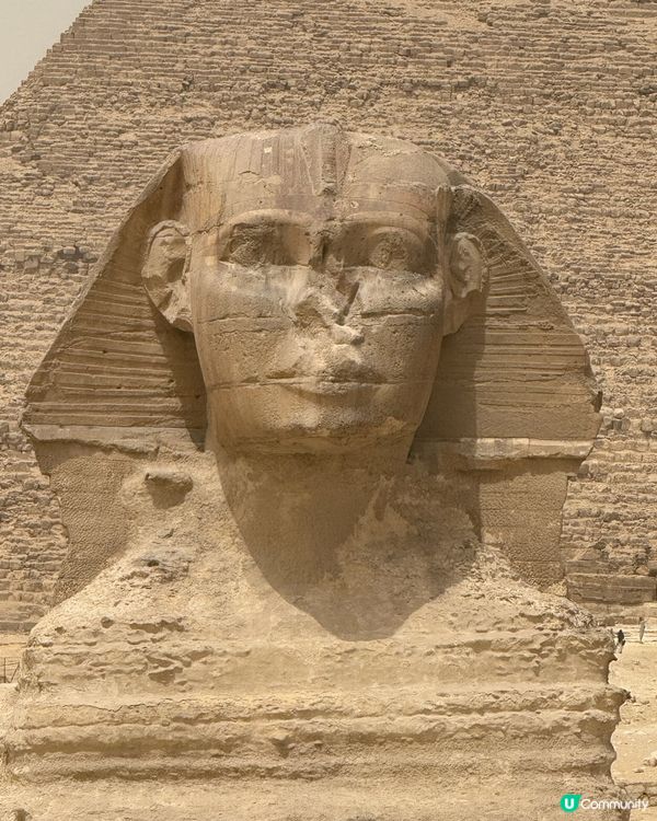 埃及自由行遊記:👑金字塔大冒險🏺✨ 2/4 vol 6  