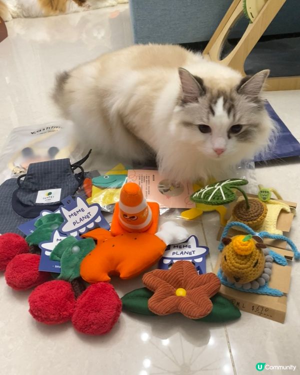 靚靚手作 台北寵物展