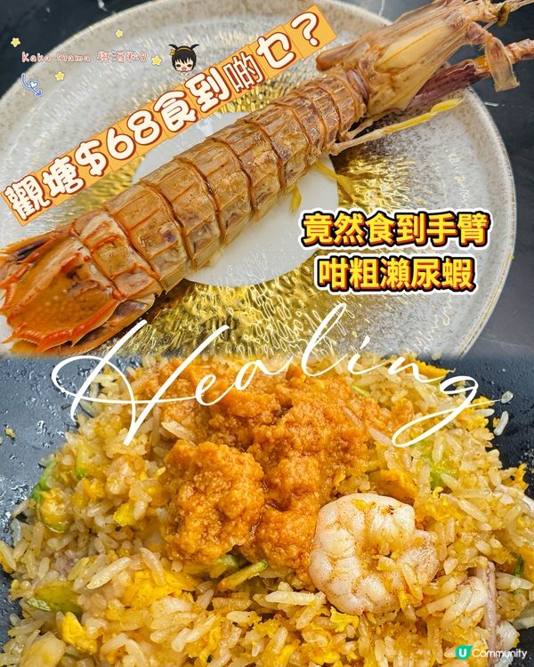 鑊氣十足 瀨尿蝦真係好鬼抵