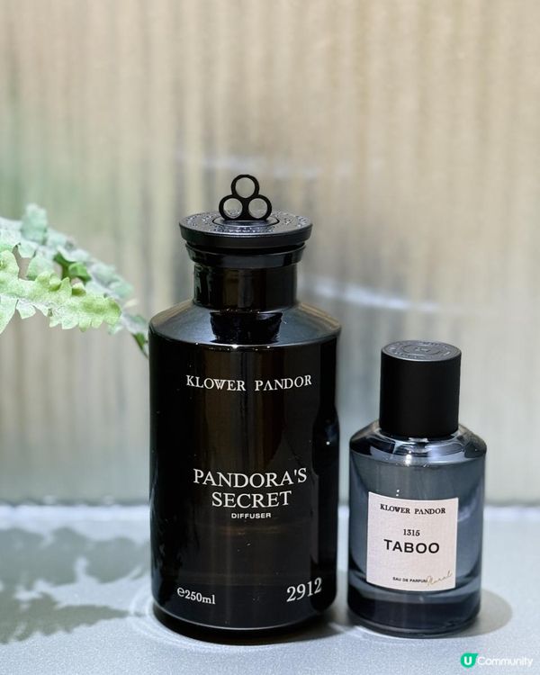 ✨為你嘅人生增添一抹甜美浪漫🌸 KLOWER PANDOR 記憶香氛💜