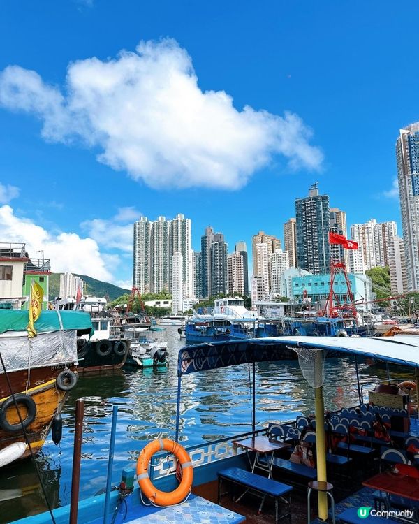 南區一日遊！🌊 玩轉海洋公園+文化體驗！🤩