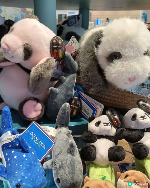 夏日水上樂園初體驗！🌊 八彩天梯超正！🥳