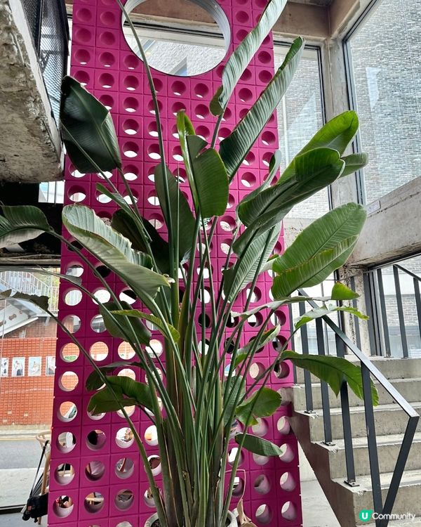 🇰🇷韓國首爾聖水洞人氣甜品Café🔥必食磅蛋糕‼️