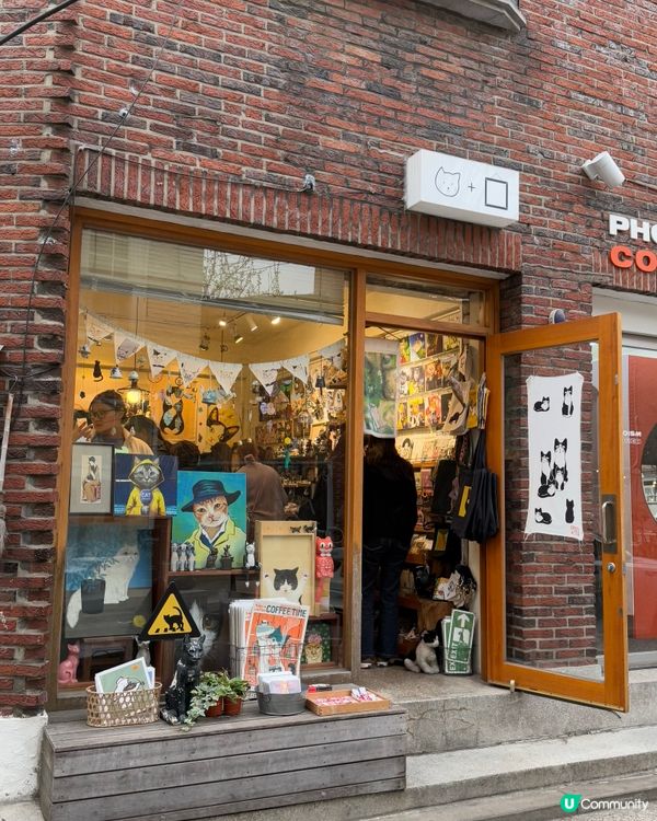 貓奴必去！延南洞貓咪天堂😻 令人瘋狂掃貨的小店！