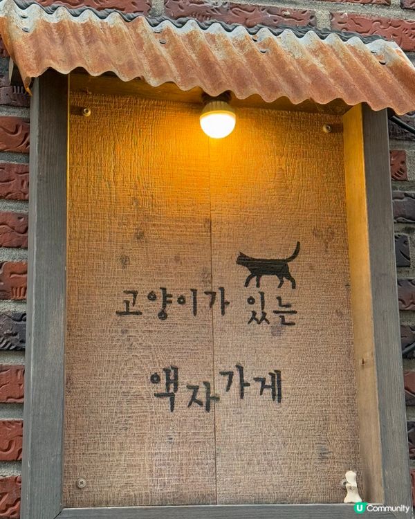 貓奴必去！延南洞貓咪天堂😻 令人瘋狂掃貨的小店！