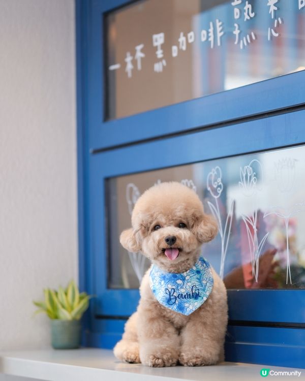 佐敦寵物友善餐廳-PASTIME💙🤍