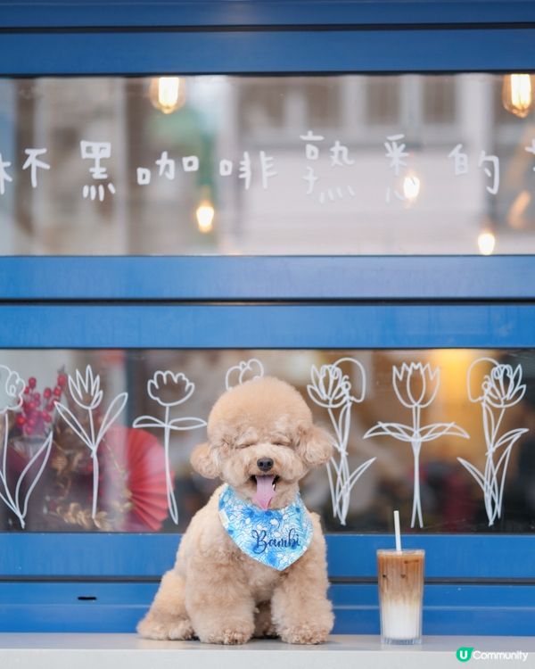 佐敦寵物友善餐廳-PASTIME💙🤍