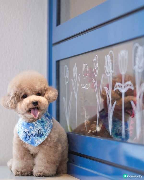 佐敦寵物友善餐廳-PASTIME💙🤍