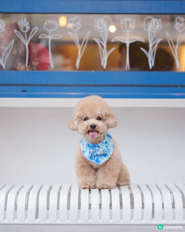 佐敦寵物友善餐廳-PASTIME💙🤍