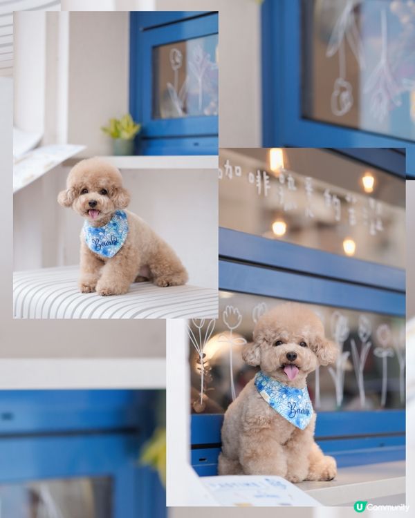 佐敦寵物友善餐廳-PASTIME💙🤍